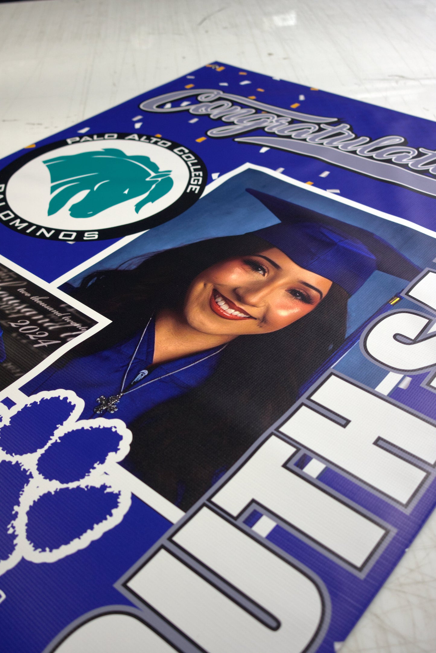 Vinyl Banners - PROJECTPOINT